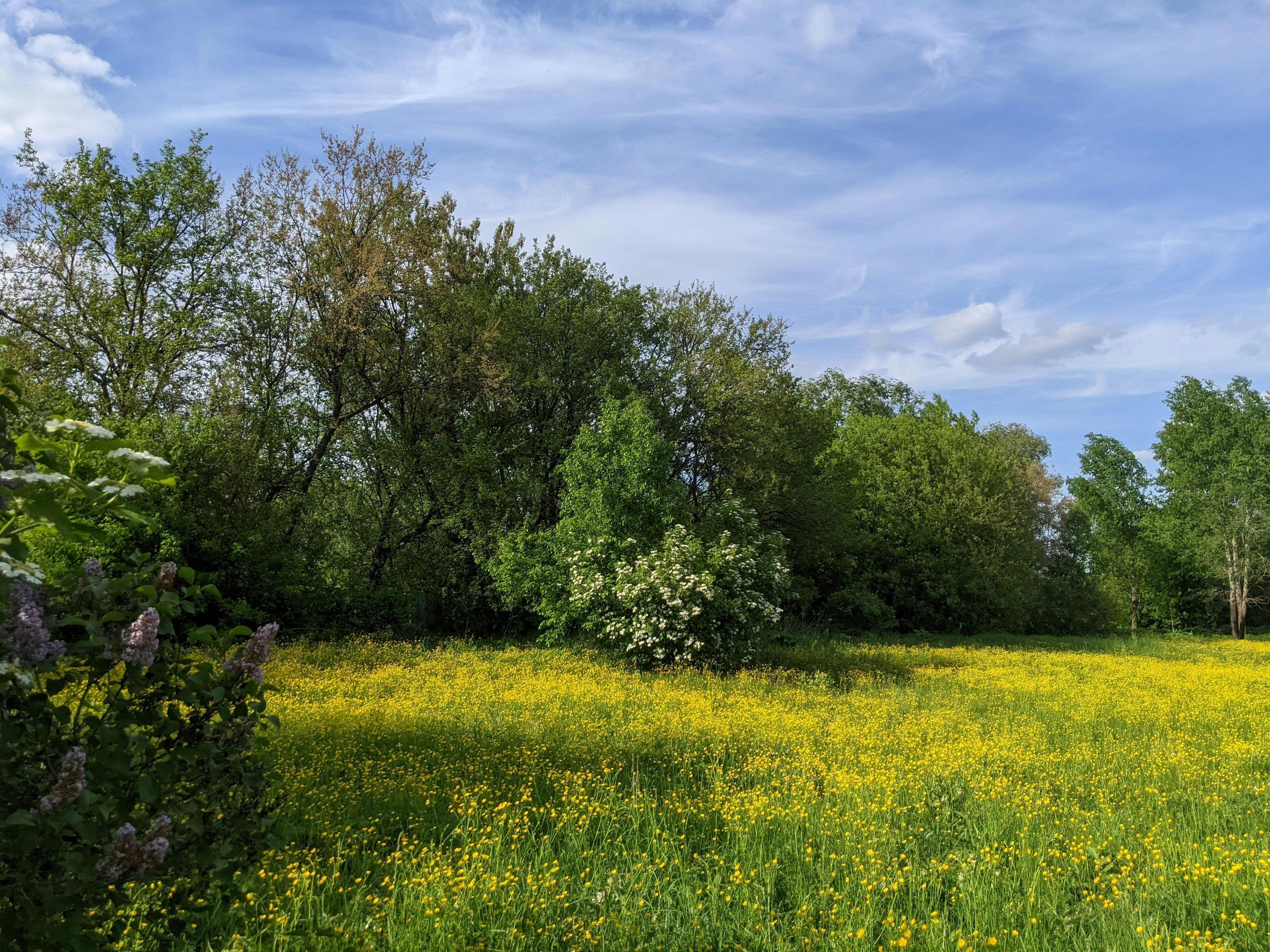 Landscape photo by Yuri Goyanyuk